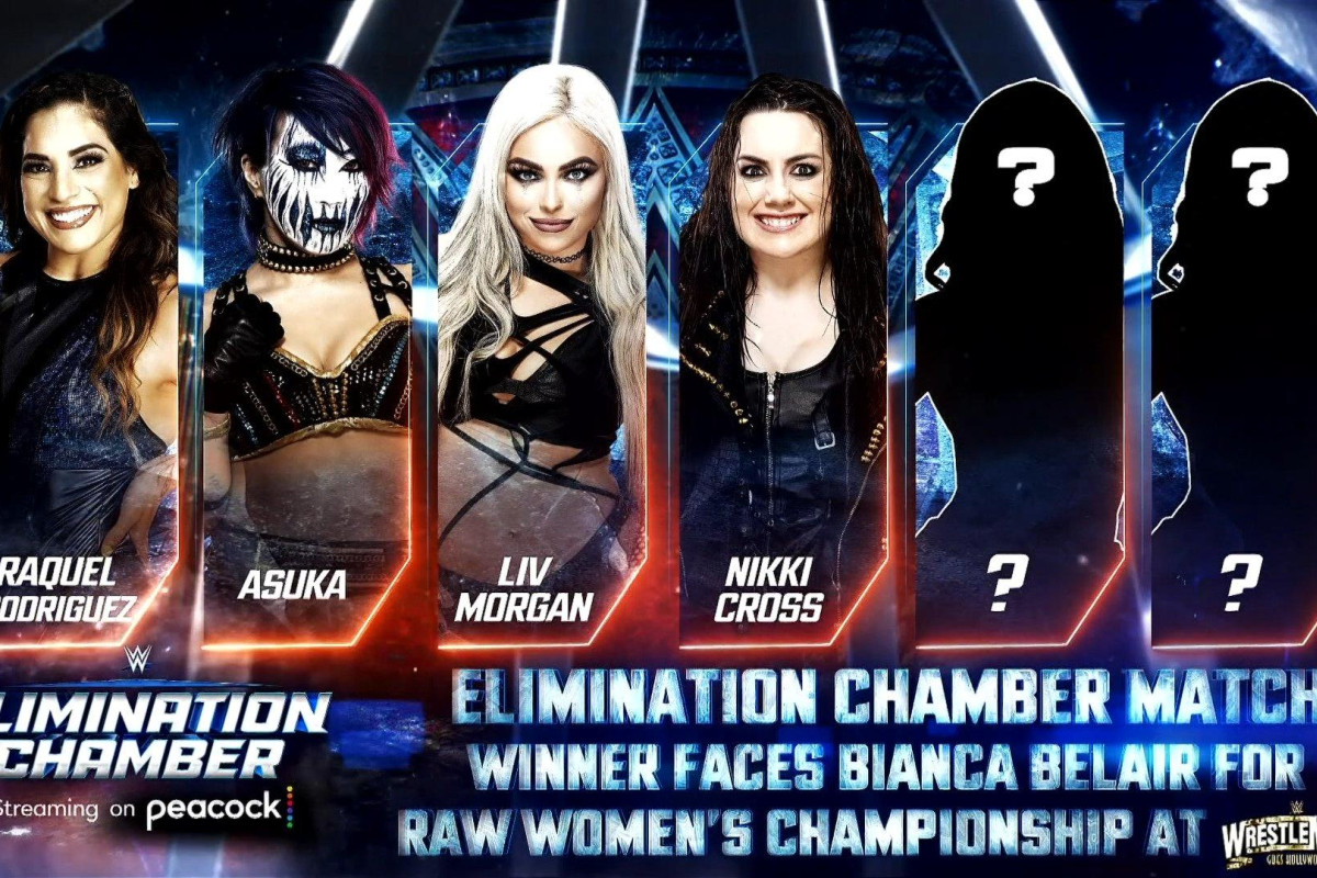 Women's Elimination Chamber For Raw Women's Title Shot Set For WWE