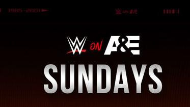 a&e wwe biography episodes list